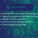 bet spider casino test